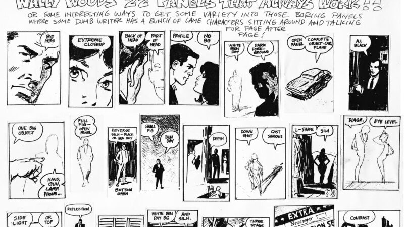 Wally Wood's 22 Panels That Always Work