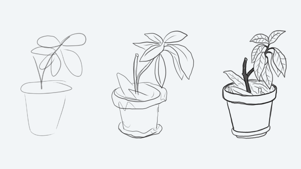 Three drawings of a small avocado tree in a pot with increasing levels of detail and polish