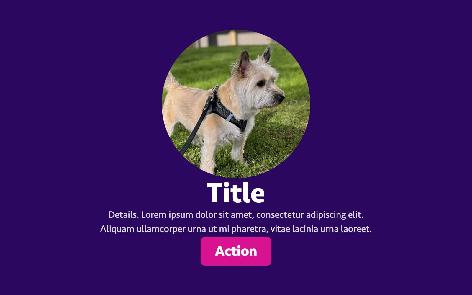 An image, title, detail content and action button arranged in a vertical stack, with no visible container or gaps between.
